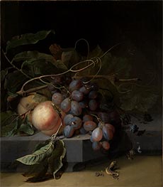 Fruit Still Life with Lizard, undated by Abraham Mignon | Canvas Print