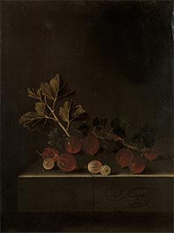 A Sprig of Gooseberries on a Stone Plinth | Adriaen Coorte | Painting Reproduction