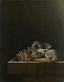 Adriaen Coorte | Shells on a Stone Plinth, 1698 | Giclée Canvas Print