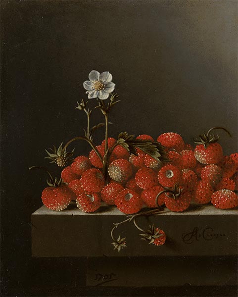 Still Life with Wild Strawberries, 1705 | Adriaen Coorte | Giclée Canvas Print
