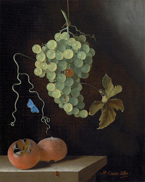 Still Life with a Hanging Bunch of Grapes, Two Medlars, and a Butterfly, 1687 | Adriaen Coorte | Giclée Canvas Print