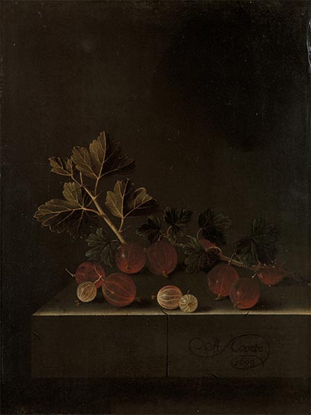 A Sprig of Gooseberries on a Stone Plinth, 1699 | Adriaen Coorte | Giclée Canvas Print