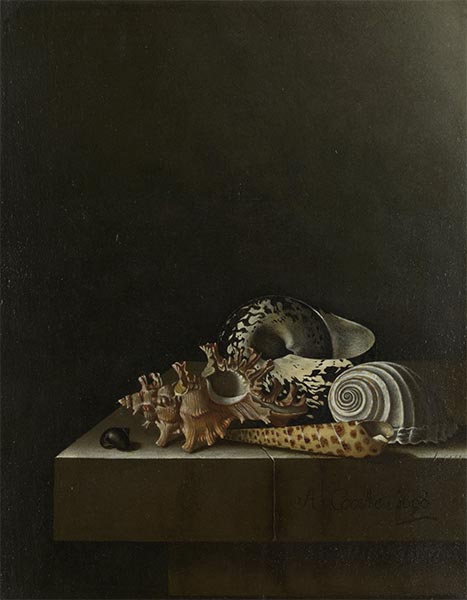 Muscheln auf Steinsockel, 1698 | Adriaen Coorte | Giclée Leinwand Kunstdruck
