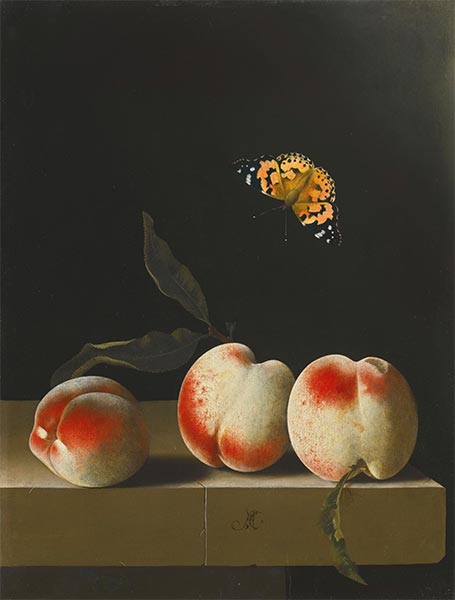 Three Peaches with a Red Admiral Butterfly, undated | Adriaen Coorte | Giclée Canvas Print