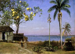 Bierstadt | Tropical Scene, undated | Giclée Canvas Print