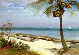 Bierstadt | Tropical Coast, undated | Giclée Canvas Print