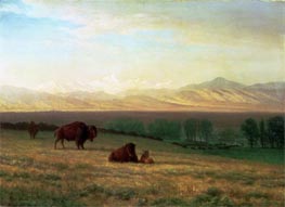 Bierstadt | Buffalo on the Plains, c.1890 | Giclée Canvas Print