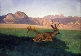 Bierstadt | Deer, indated | Giclée Canvas Print