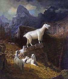 Bierstadt | Rocky Mountain Goats, c.1885 | Giclée Canvas Print
