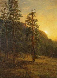 Bierstadt | California Redwoods | Giclée Canvas Print
