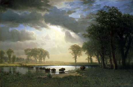 The Buffalo Trail, 1869 | Bierstadt | Giclée Canvas Print