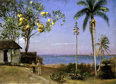 Tropische Szene, n.d. | Bierstadt | Giclée Leinwand Kunstdruck
