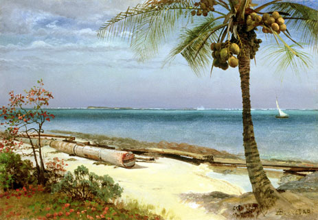 Tropical Coast, n.d. | Bierstadt | Giclée Leinwand Kunstdruck