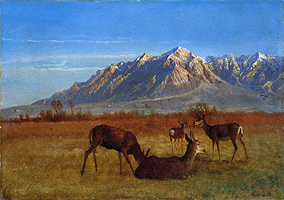 Deer in Mountain Home, c.1879 | Bierstadt | Giclée Canvas Print