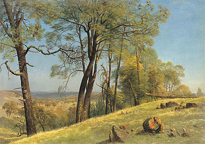 Rockland County, California, c.1872 | Bierstadt | Giclée Canvas Print
