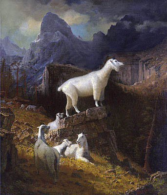 Rocky Mountain Goats, c.1885 | Bierstadt | Giclée Leinwand Kunstdruck