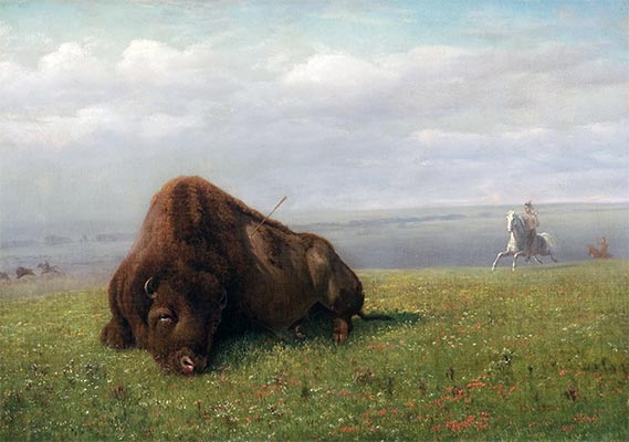 Buffalo Hunting, undated | Bierstadt | Giclée Canvas Print