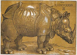 Durer | Rhinocerus | Giclée Paper Print