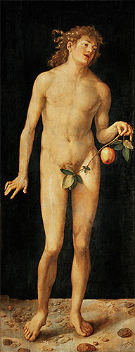 Adam, 1507 | Durer | Giclée Leinwand Kunstdruck