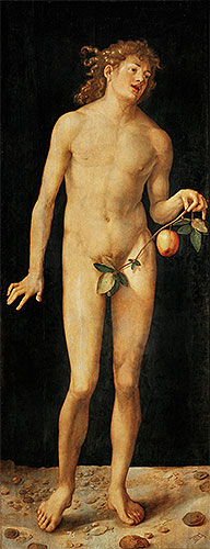 Adam, 1507 | Durer