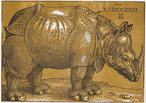 Rhinocerus, 1515 | Durer