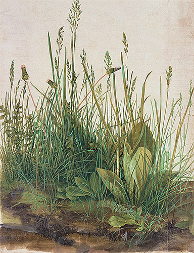 Das große Rasenstück, 1503 | Durer | Giclée Papier-Kunstdruck