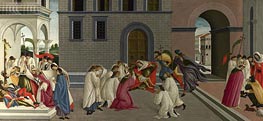 Three Miracles of Saint Zenobius  from Two Spalliera Panels, c.1500 by Botticelli | Canvas Print