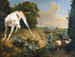 Dog Stopped in Front of a Pheasant | Alexandre-François Desportes | Painting Reproduction