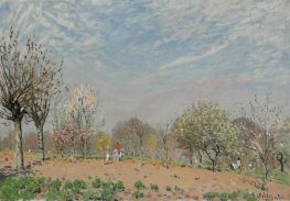 Apple Trees in Flower, Spring Morning | Alfred Sisley | Painting Reproduction