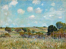 Meadow, 1875 by Alfred Sisley | Canvas Print