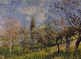 Ein Obstgarten im Frühling, By, 1881 von Alfred Sisley | Leinwand Kunstdruck
