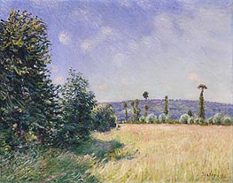 Sahurs Meadows in Morning Sun | Alfred Sisley | Gemälde Reproduktion