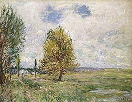 The Plain at Veneux-Nadon, 1881 von Alfred Sisley | Leinwand Kunstdruck