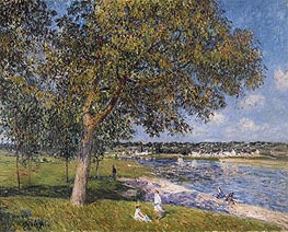 Walnut in a Meadow Thomery | Alfred Sisley | Painting Reproduction