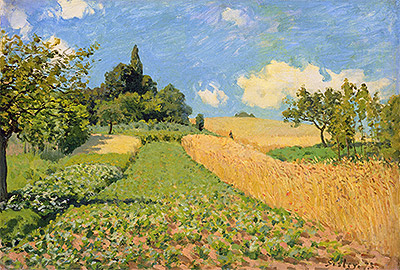 The Cornfield near Argenteuil, 1873 | Alfred Sisley | Giclée Leinwand Kunstdruck