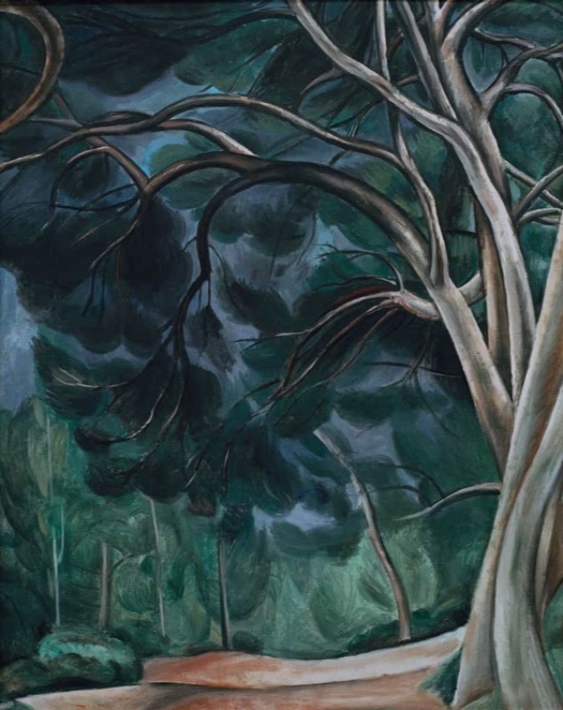 Tree Trunks, c.1912 | André Derain | Giclée Canvas Print