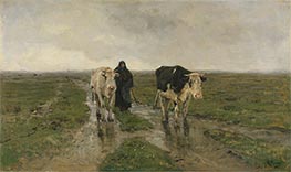 Weide wechseln, c.1880 von Anton Mauve | Leinwand Kunstdruck