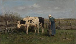 Melkzeit, c.1875 von Anton Mauve | Leinwand Kunstdruck