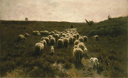 Die Rückkehr der Herde, Laren, c.1886/87 von Anton Mauve | Leinwand Kunstdruck