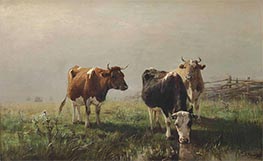 Kühe auf Wiese, Undated von Anton Mauve | Leinwand Kunstdruck