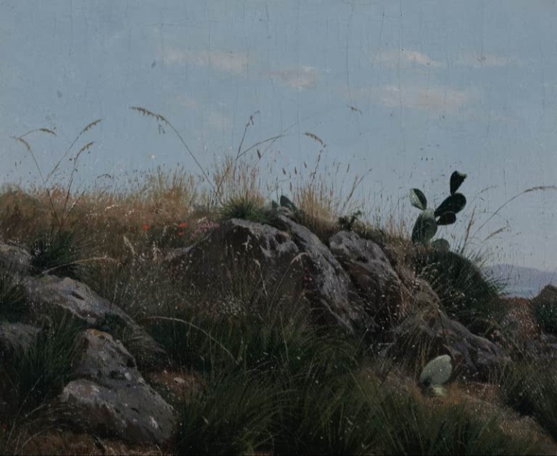 Country Landscape With Prickly Pears, 1867 | Antonino Leto | Giclée Canvas Print