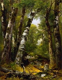 Waldschlucht, c.1850/55 von Asher Brown Durand | Leinwand Kunstdruck