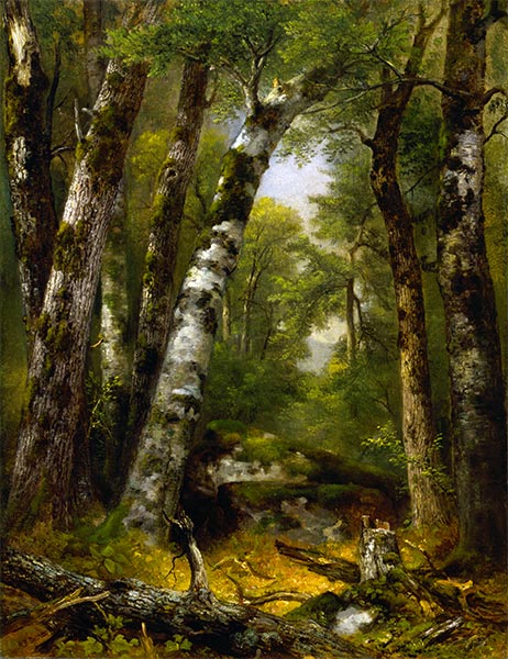 Woodland Glen, c.1850/55 | Asher Brown Durand | Giclée Canvas Print