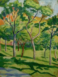 Trees on a Meadow, 1910 by August Macke | Giclée Canvas Print