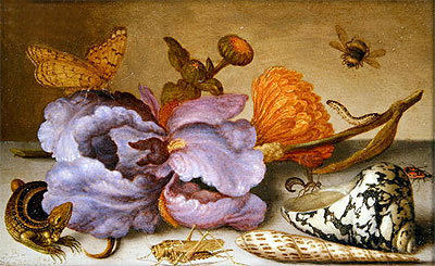 Balthasar van der Ast | Still Life Depicting Flowers, Shells and Insects, undated | Giclée Canvas Print