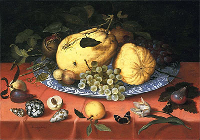 van der Ast | Fruit Still Life with Shells and a Tulip, c.1620 | Giclée Canvas Print
