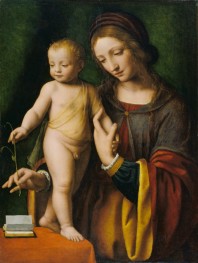 The Virgin and Child with a Columbine, c.1520/30 | Bernardino Luini