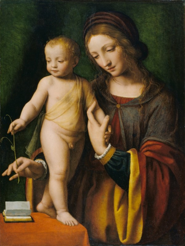 Die Jungfrau und das Kind mit einer Akelei, c.1520/30 | Bernardino Luini | Giclée Leinwand-Kunstdruck