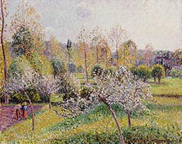 Blühende Apfelbäume, Eragny, 1895 von Pissarro | Leinwand Kunstdruck