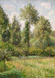 Poplars, Eragny, 1895 von Pissarro | Leinwand Kunstdruck